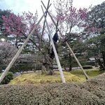 Photo taken by Kirti P