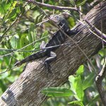 Photo taken by Mary D