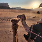 Photo taken by Wendy Q