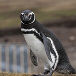 Photo taken by Eric T