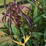 Photo taken by jean G