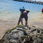 Photo taken by Colleen B