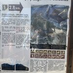 Photo taken by Solomon F