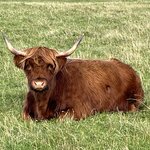 Photo taken by Danielle P