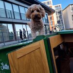 Photo taken by Alicia T