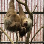 Photo taken by SANTHI S