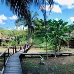 Our jungle lodge | Photo taken by Elisa M