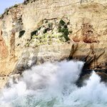 Photo taken by Tom L