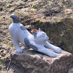 Photo taken by Reid S