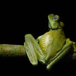 Photo taken by Brett F