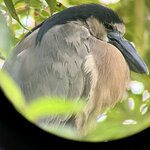 Photo taken by Sabrina R