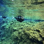 Photo taken by Sue M