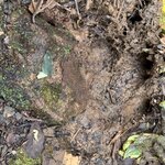 Photo taken by Ben B