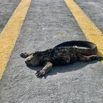 Photo taken by Katarzyna W