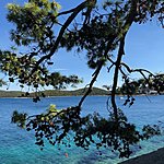 Photo taken by Sam Austin W