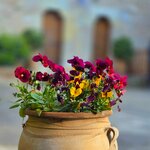 Photo taken by Don W