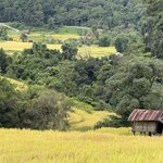 Photo taken by Paulette D