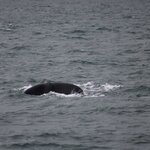 Photo taken by Amanda Z