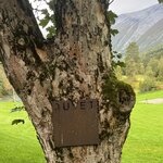 Photo taken by Kim M