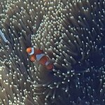 Photo taken by Dixie W