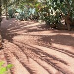 Photo taken by Patricia O