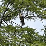 Photo taken by Natasha J