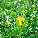 Photo taken by Kim R