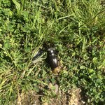 Photo taken by Rob S