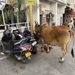 Photo taken by Jacki W