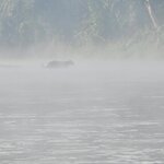 Photo taken by Cayden S