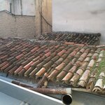 Photo taken by John N