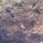 Photo taken by Jaya C