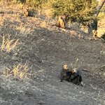 Photo taken by rhonda c