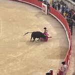 Photo taken by Jodi P