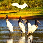 Photo taken by Dennis H