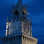View of the clock tower in Avignon from our terrace.  | Photo taken by Richard L