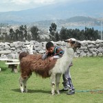 Cayambe. | Photo taken by Katrina H