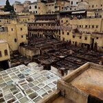 Photo taken by Lindsey B