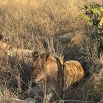 Photo taken by Chris K