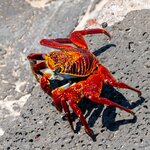 Photo taken by Vinay K