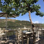 Photo taken by Victoria P