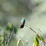 Photo taken by Graeme W