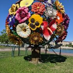 Photo taken by Lyon K