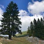 The high country in the Carpathian Alps | Photo taken by Anne L