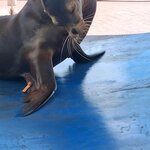 Photo taken by Elise C