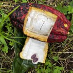 Photo taken by Judith D