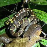 Photo taken by Sangeetha R