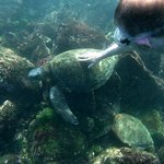 So much for staying 2 meters away.... | Photo taken by Peter S