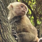 Photo taken by Kevin S