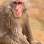 Photo taken by Ana W